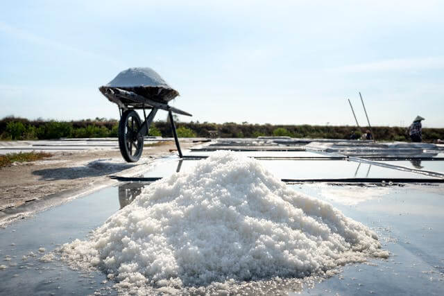 Salt Farming